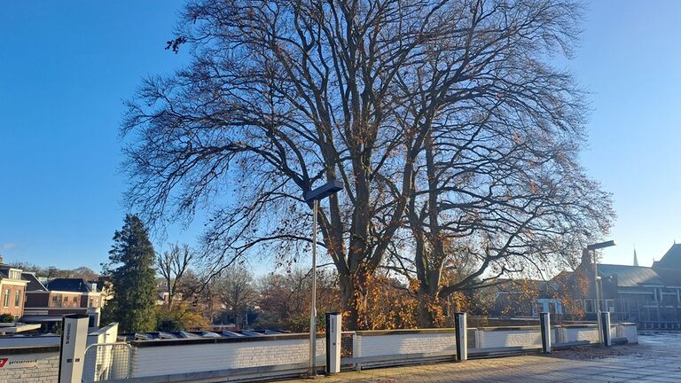 imageBig.0.properties.alternative